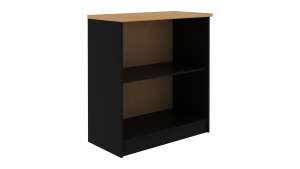 Office Cabinet MP-R11